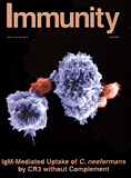 immunity.gif (10946 bytes)