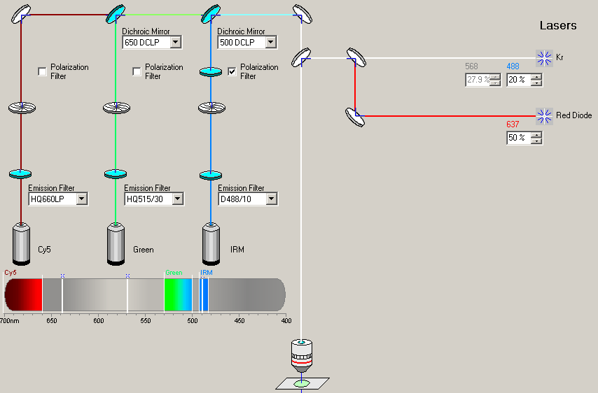 IRM-FITC-Cy5_method.gif (19564 bytes)