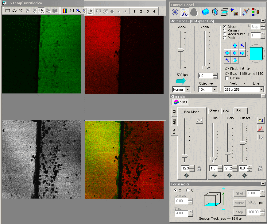 green-red-irm-method2.gif (169332 bytes)