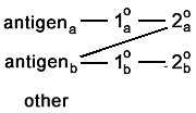 2nda-antigenb.gif (1365 bytes)