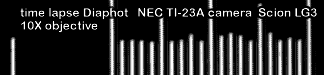 tlps_10X_NEC.GIF (3856 bytes)